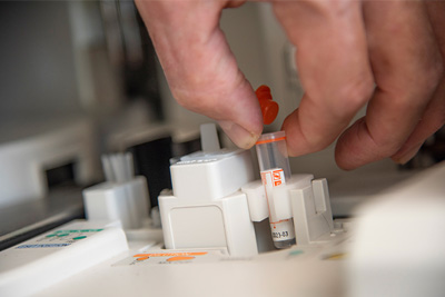 Laboruntersuchungen - Tierarzt Bonitz